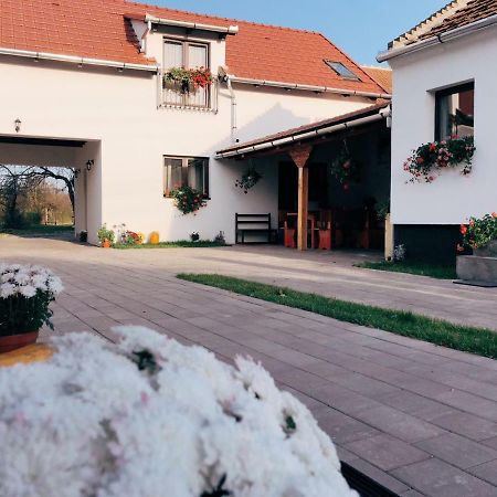 Casa Badea Hotel Riu Alb Ngoại thất bức ảnh